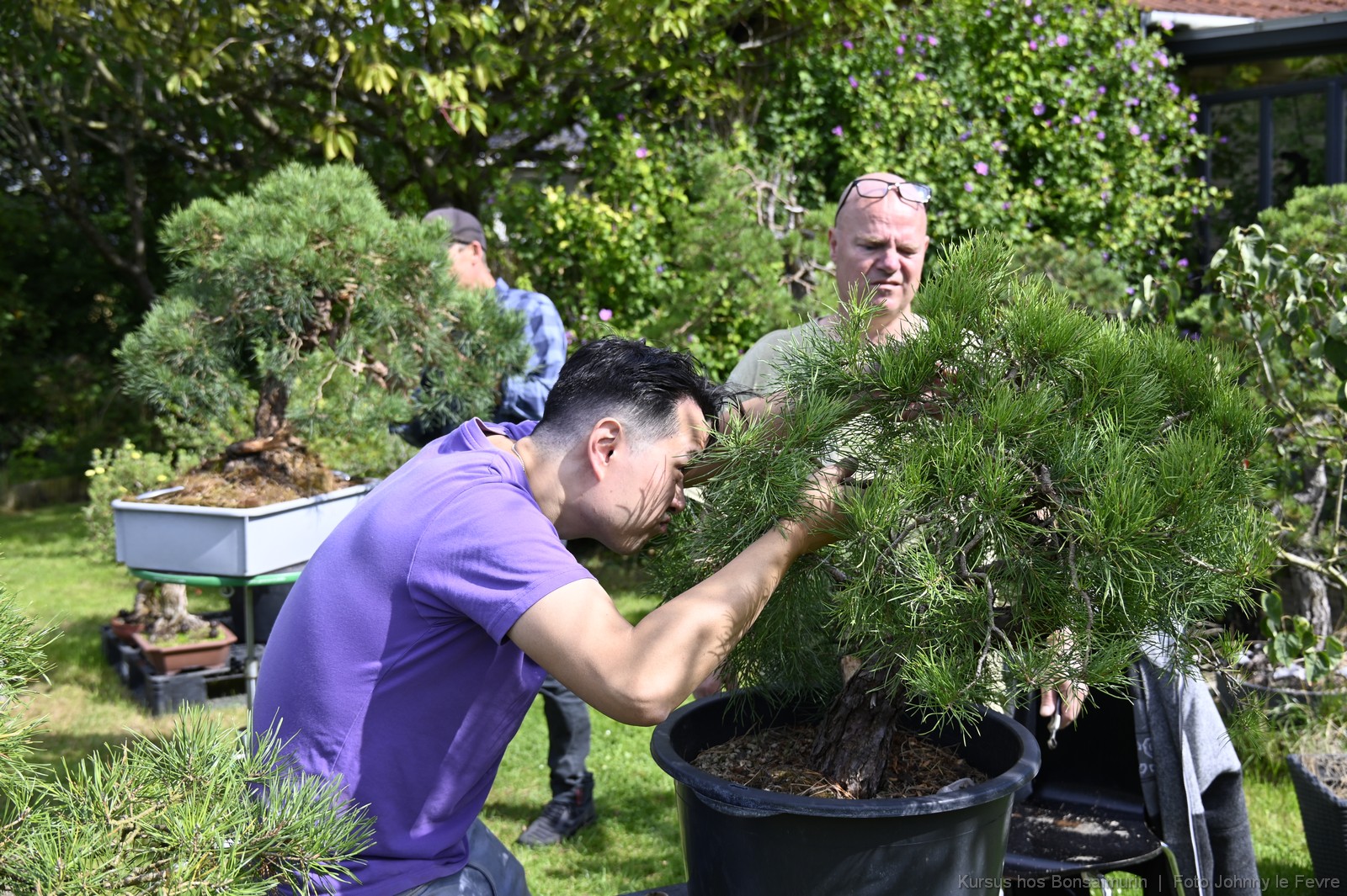 Bonsaimurik_Omplantningskurrsus_1600_34
