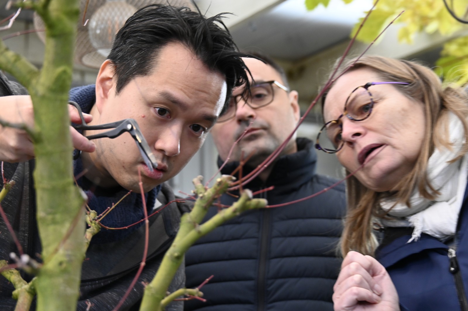 Bonsaimurin Masterclass Løvfældende 16.11.2024 (5)