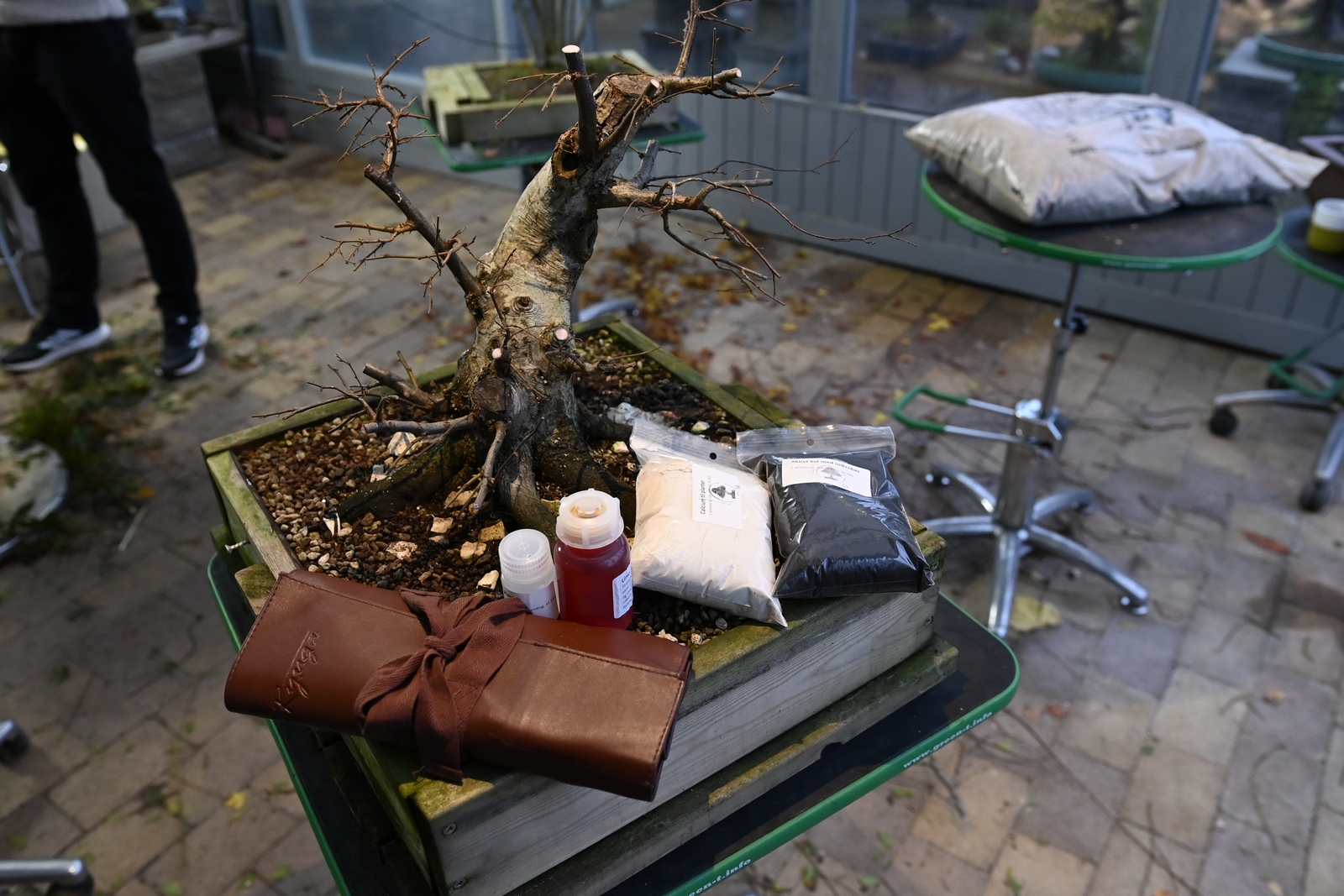 Bonsaimurin Masterclass Løvfældende 16.11.2024 (71)