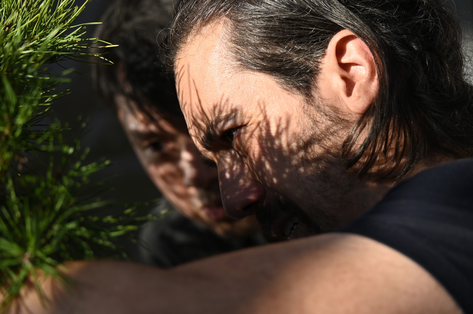 MarcoBonsai-10.2024_1600_43